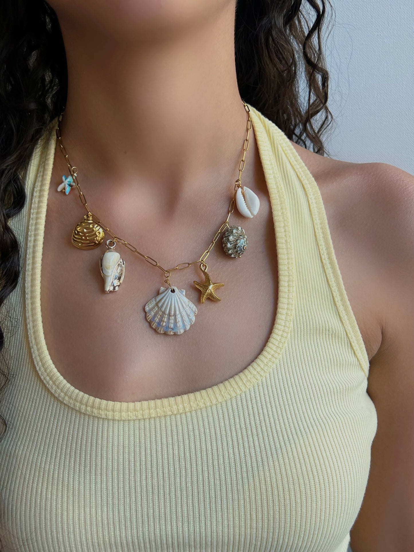 Multi shells chunky necklace